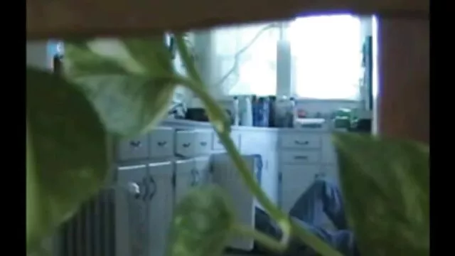 פורנו בחינם ללא רישום  סקס בריהוט סרטי סקס חינם למבוגרים ראטן.
